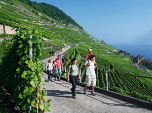 Terraços de Lavaux