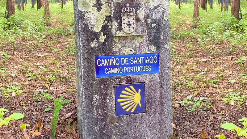 Caminho Português para Santiago de Compostela